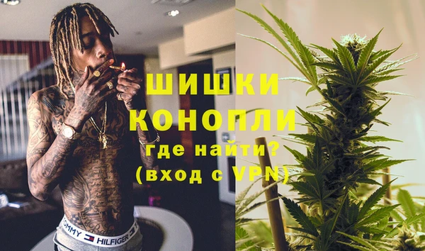 индика Аркадак