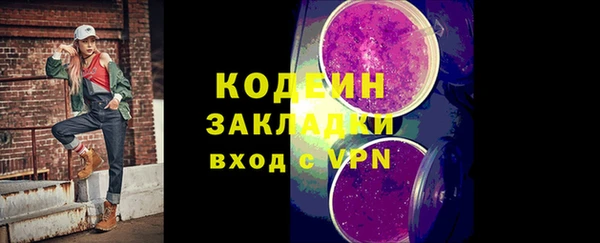 индика Аркадак