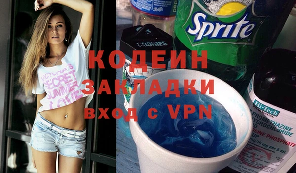 индика Аркадак