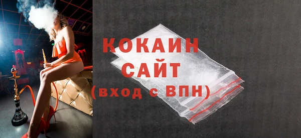 индика Аркадак