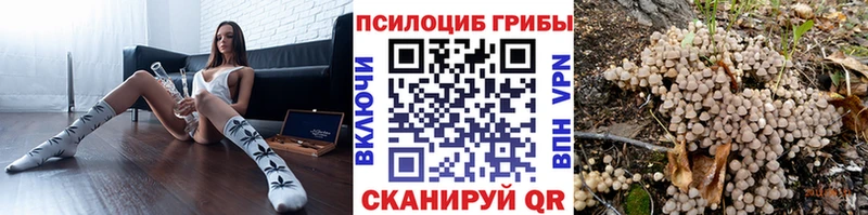 Псилоцибиновые грибы Cubensis Оханск
